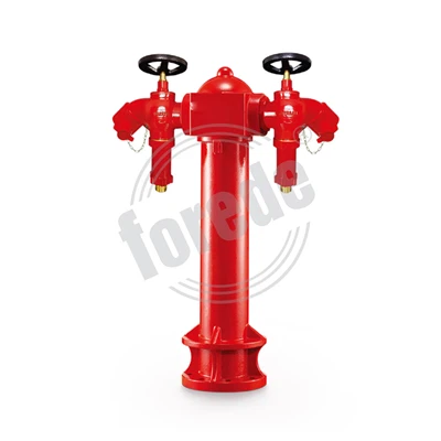 Bouche d'incendie à pilier humide de type 2 voies